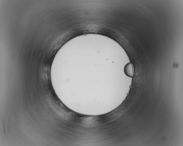 X0000110740122200907131129