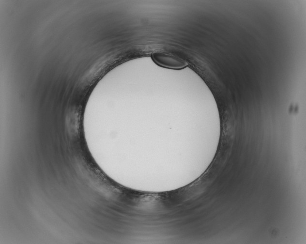 X0000110740124200907131129