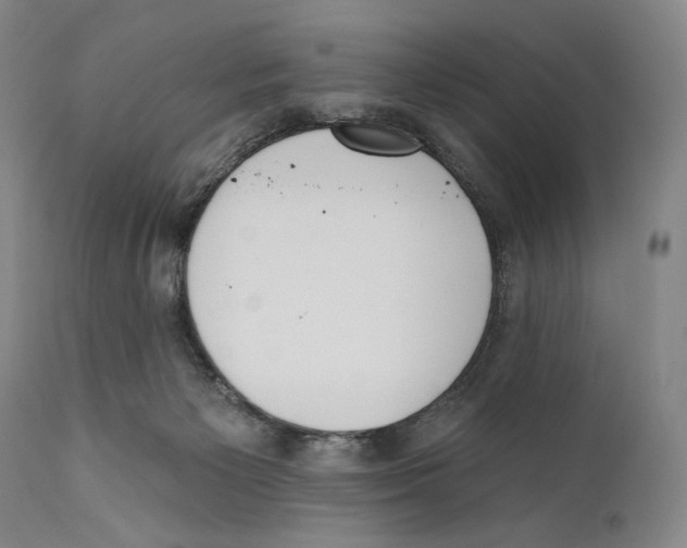 X0000110740125200907131129