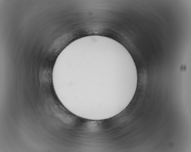 X0000110740126200907131129