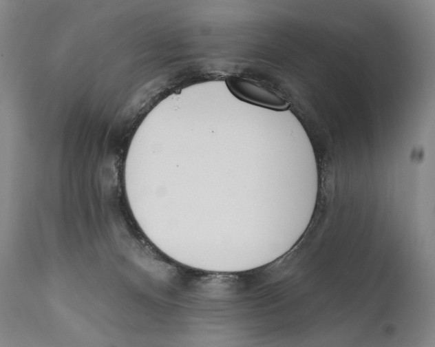 X0000110740128200907131129