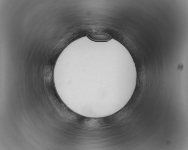 X0000110740129200907131129