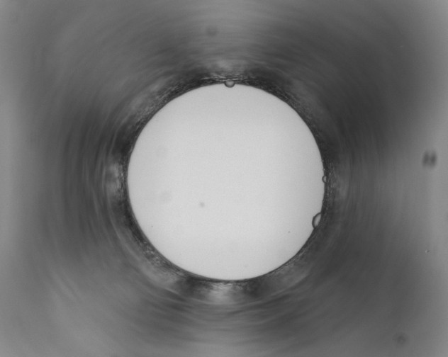 X0000110740130200907131129