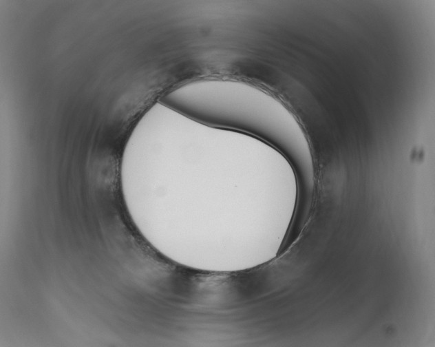 X0000110740132200907131129