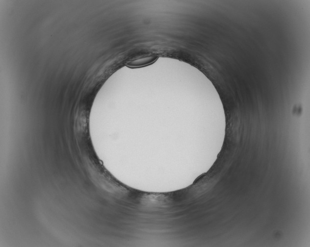 X0000110740137200907131129