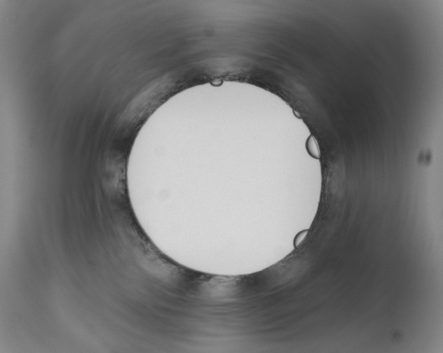 X0000110740138200907131129