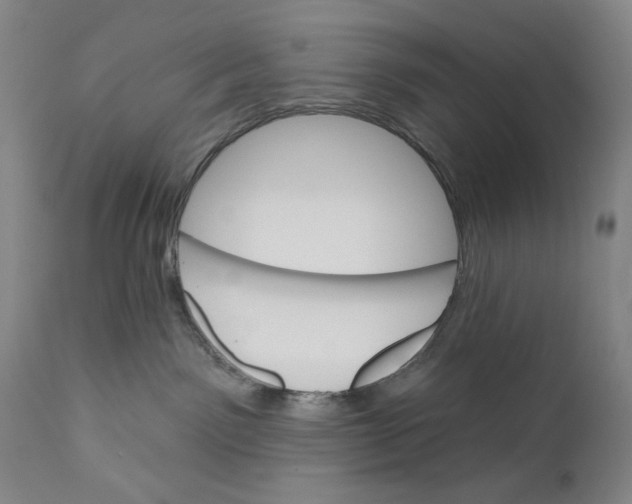 X0000110740141200907131129