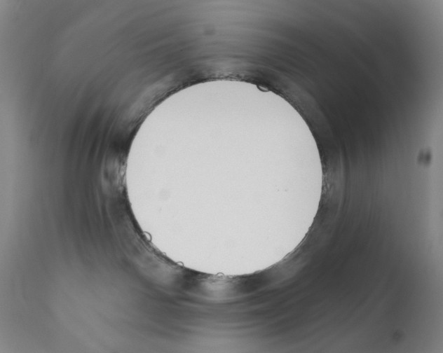 X0000110740142200907131129