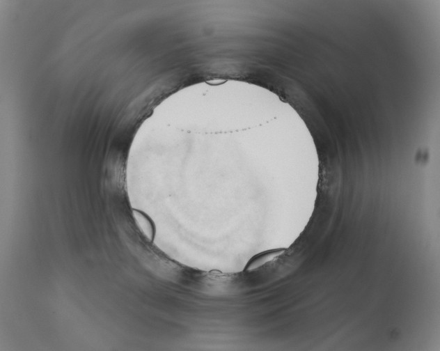X0000110740143200907131129