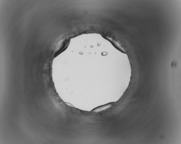 X0000110740144200907131129