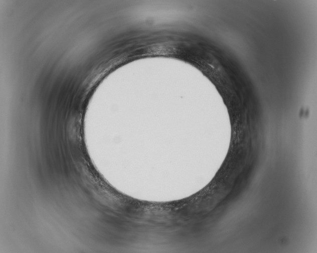 X0000110740146200907131129