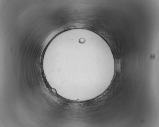 X0000110740147200907131129