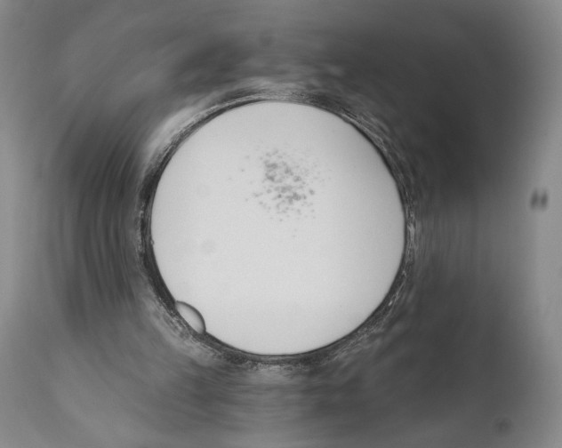 X0000110740149200907131129