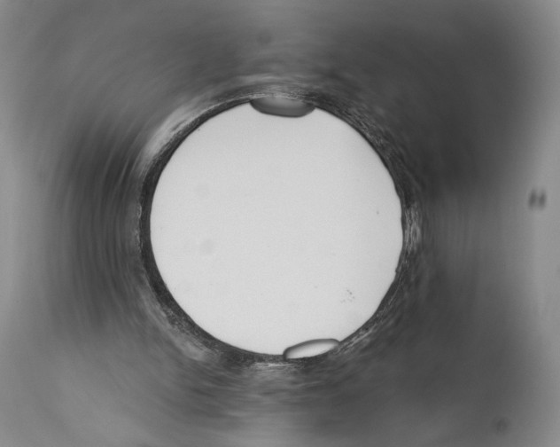 X0000110740150200907131129