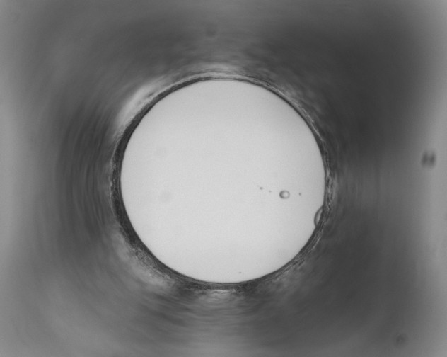 X0000110740151200907131129