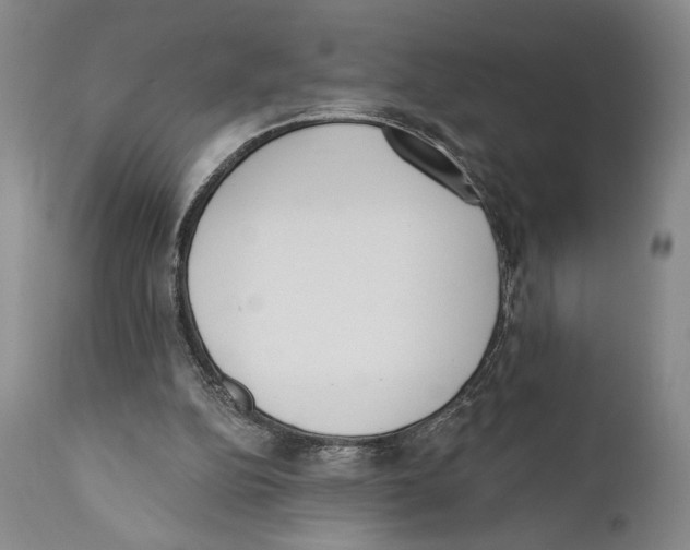 X0000110740152200907131129