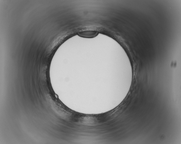 X0000110740154200907131129