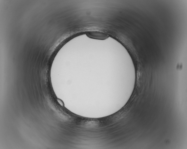 X0000110740156200907131129