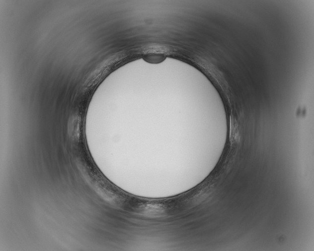 X0000110740157200907131129