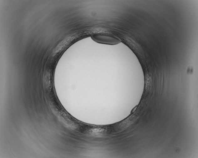 X0000110740158200907131129