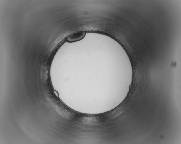 X0000110740160200907131129