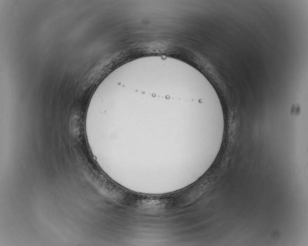X0000110740161200907131129