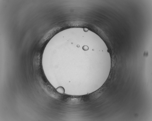 X0000110740163200907131129