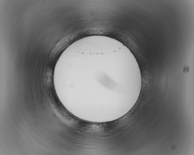 X0000110740166200907131129
