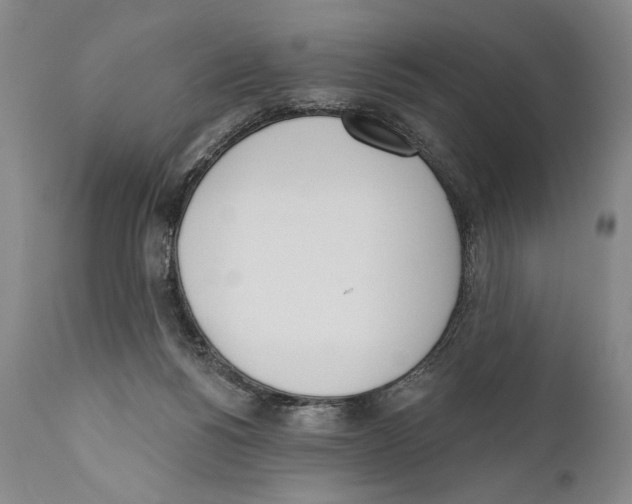 X0000110740168200907131129