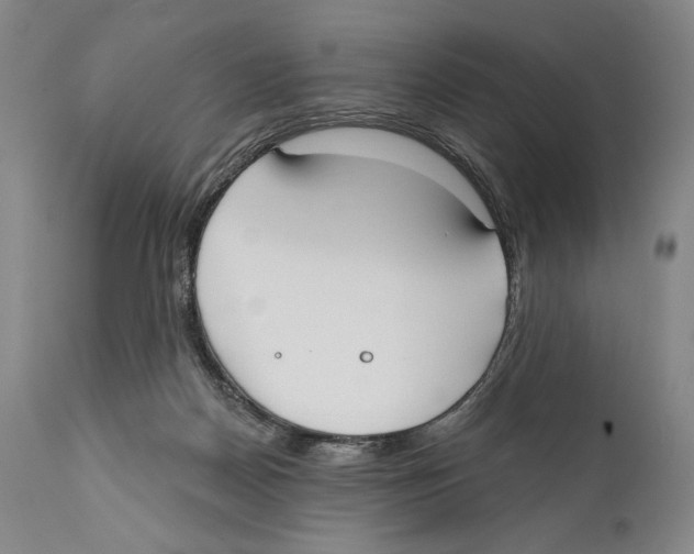 X0000110740170200907131129