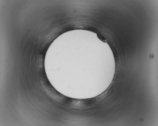 X0000110740174200907131129
