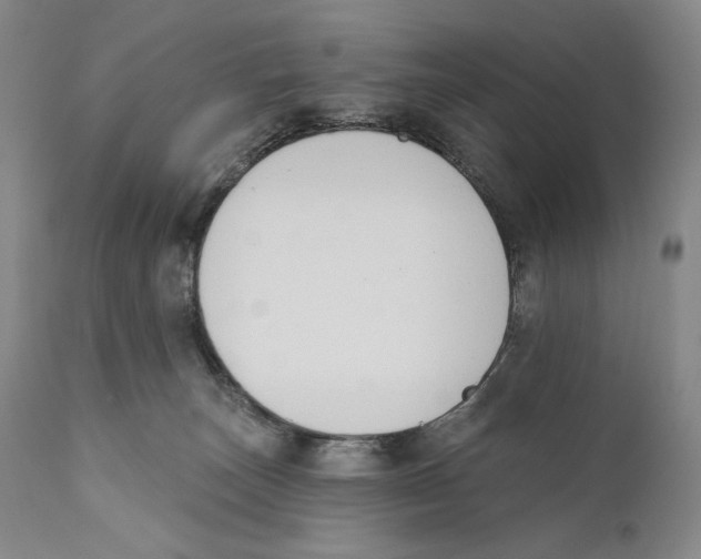 X0000110740179200907131129