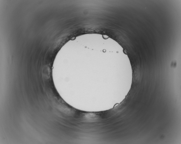 X0000110740183200907131129