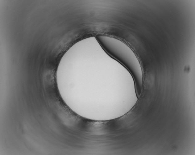 X0000110740184200907131129