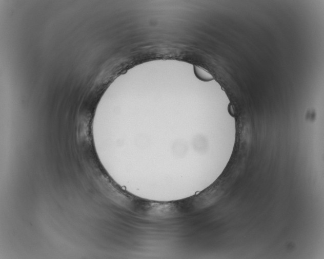 X0000110740185200907131129