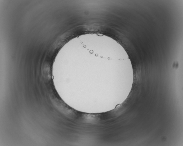 X0000110740187200907131129