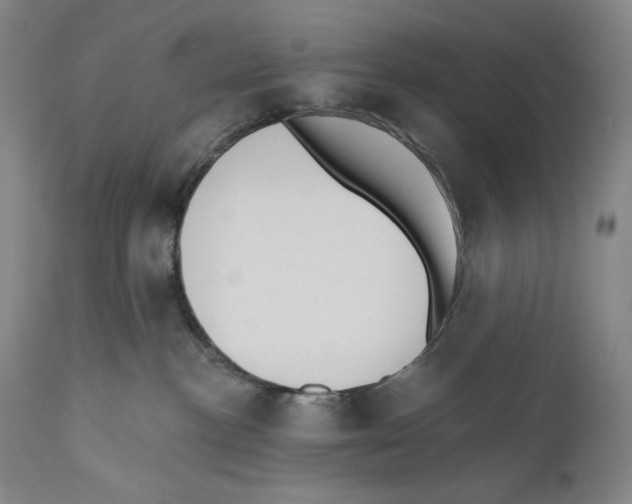 X0000110740188200907131129