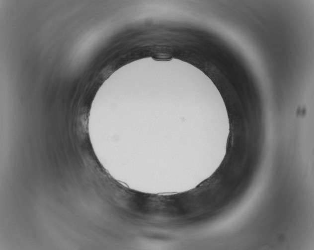 X0000110740190200907131129
