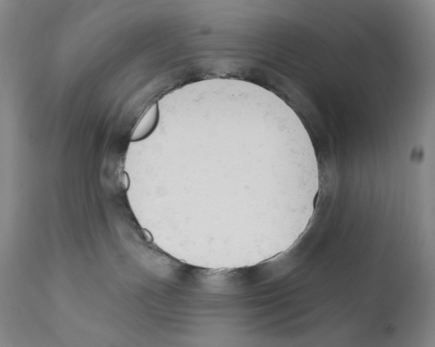 X0000110740191200907131129