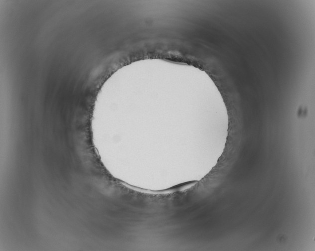 X0000110740192200907131129