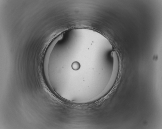 X0000110740193200907131128