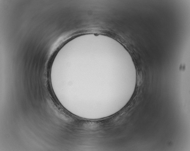X0000110740198200907131128