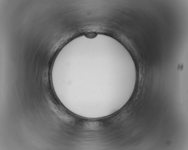 X0000110740202200907131128
