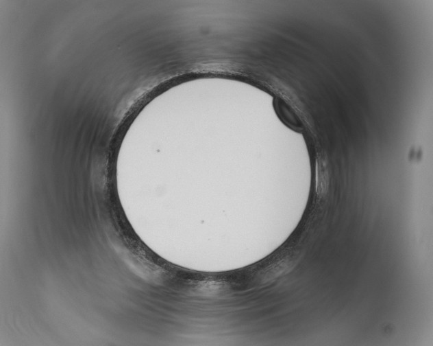 X0000110740204200907131128