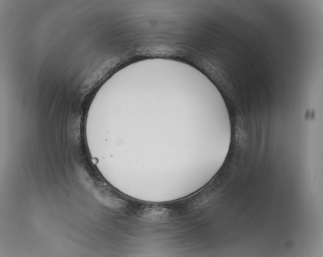X0000110740206200907131128