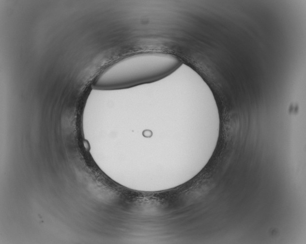 X0000110740207200907131128