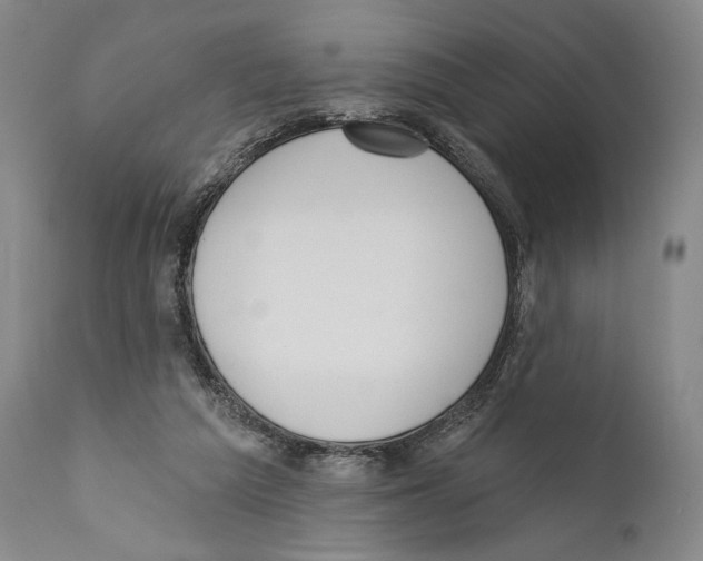 X0000110740209200907131128