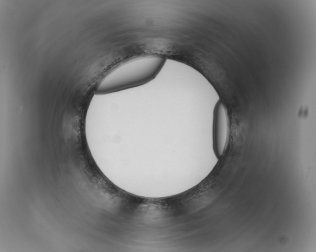 X0000110740211200907131128