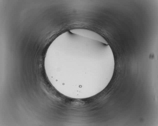 X0000110740215200907131128