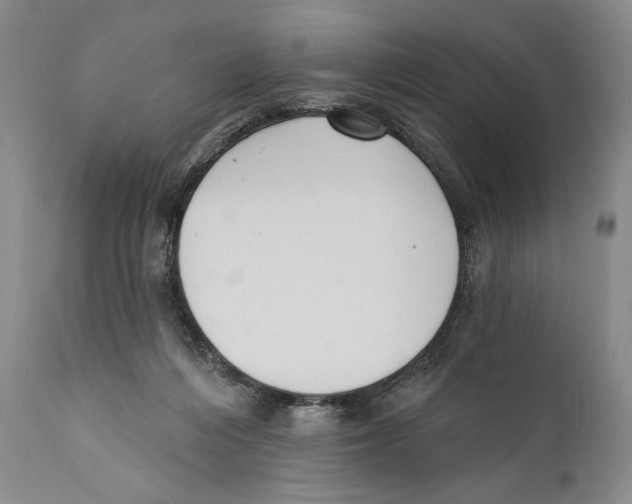 X0000110740216200907131128